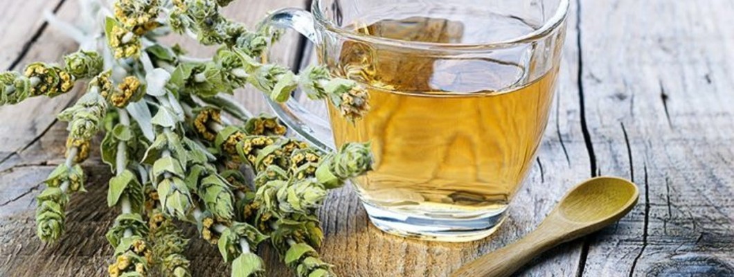 Ceaiul Muntele Grecesc - preparare, gust si beneficii